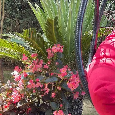 Blue Garden Villa, Gjiri I Lalezit