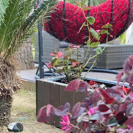 Blue Garden Villa, Gjiri I Lalezit ヴィラ