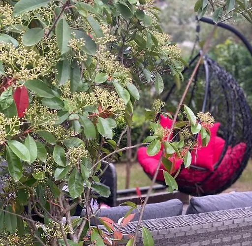 Blue Garden Villa, Gjiri I Lalezit *