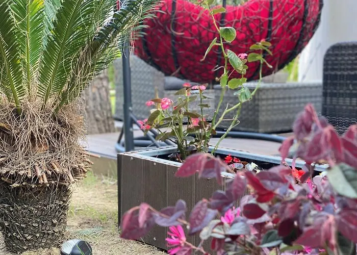 Blue Garden Villa, Gjiri I Lalezit 别墅