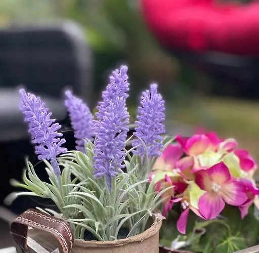 别墅 Blue Garden Villa, Gjiri I Lalezit