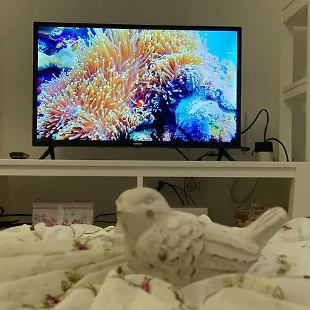 Blue Garden Villa, Gjiri I Lalezit