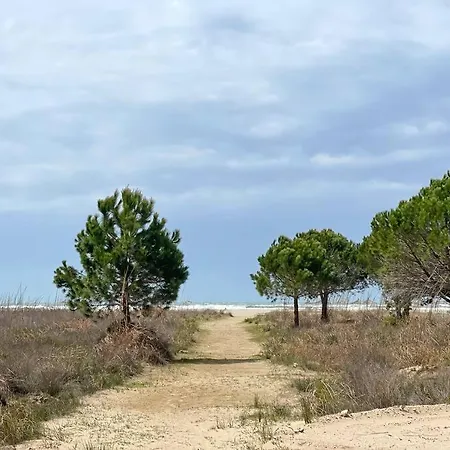 Villa Blue Garden Villa, Gjiri I Lalezit