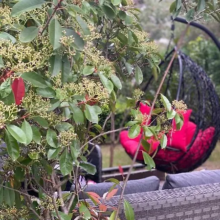 Blue Garden Villa, Gjiri I Lalezit *