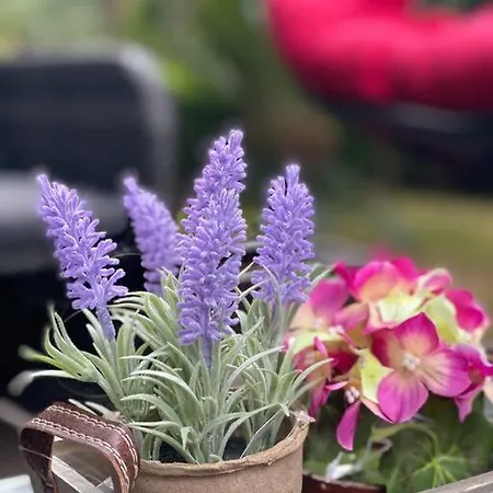Βίλα Blue Garden Villa, Gjiri I Lalezit