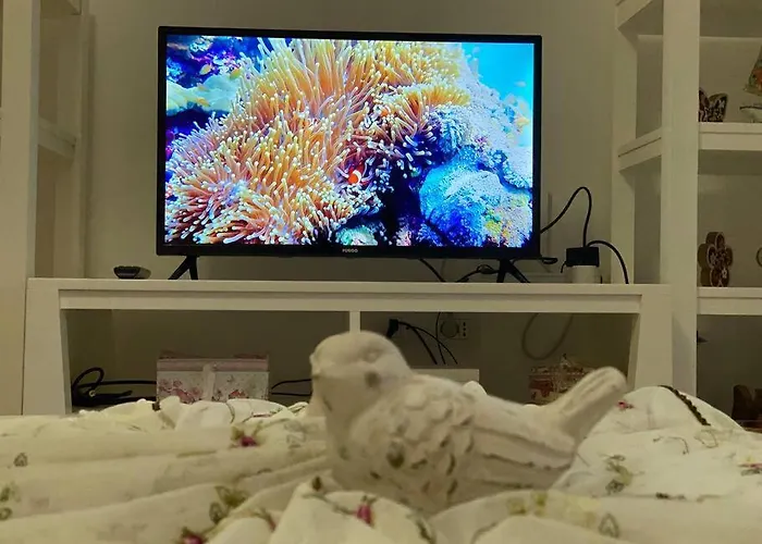 Blue Garden Villa, Gjiri I Lalezit