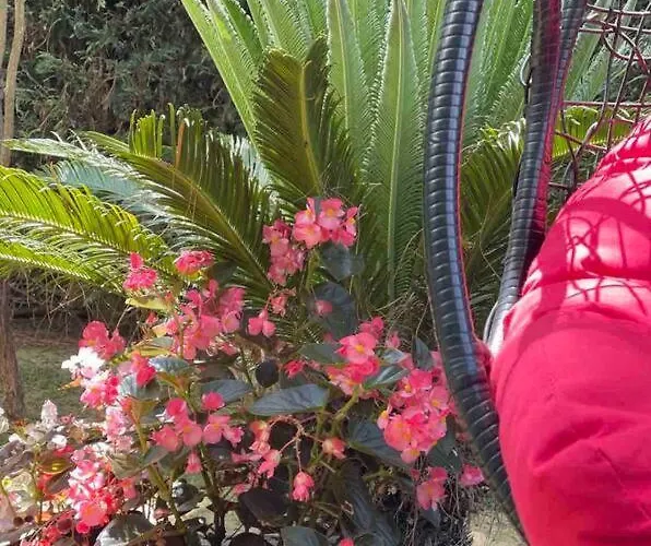 Blue Garden Villa, Gjiri I Lalezit